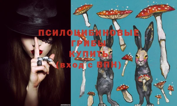 прущая мука Коряжма