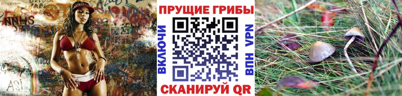 Купить закладки  Губкин  Галлюциногенные грибы GOLDEN TEACHER 